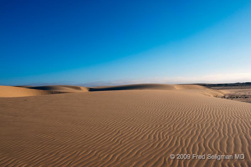 20090603_160635 D3 X1.jpg - It is awesome to be in a 4x4 and drive the dunes.  The feeling is that of being on the moon